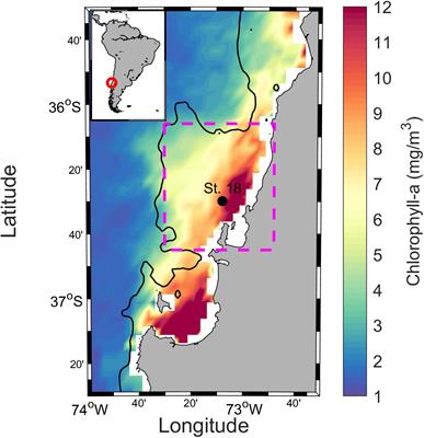 Fermentation and Anaerobic Oxidation of Organic Carbon in the Oxygen Minimum Zone of the Upwelling Ecosystem Off Concepción, in Central Chile